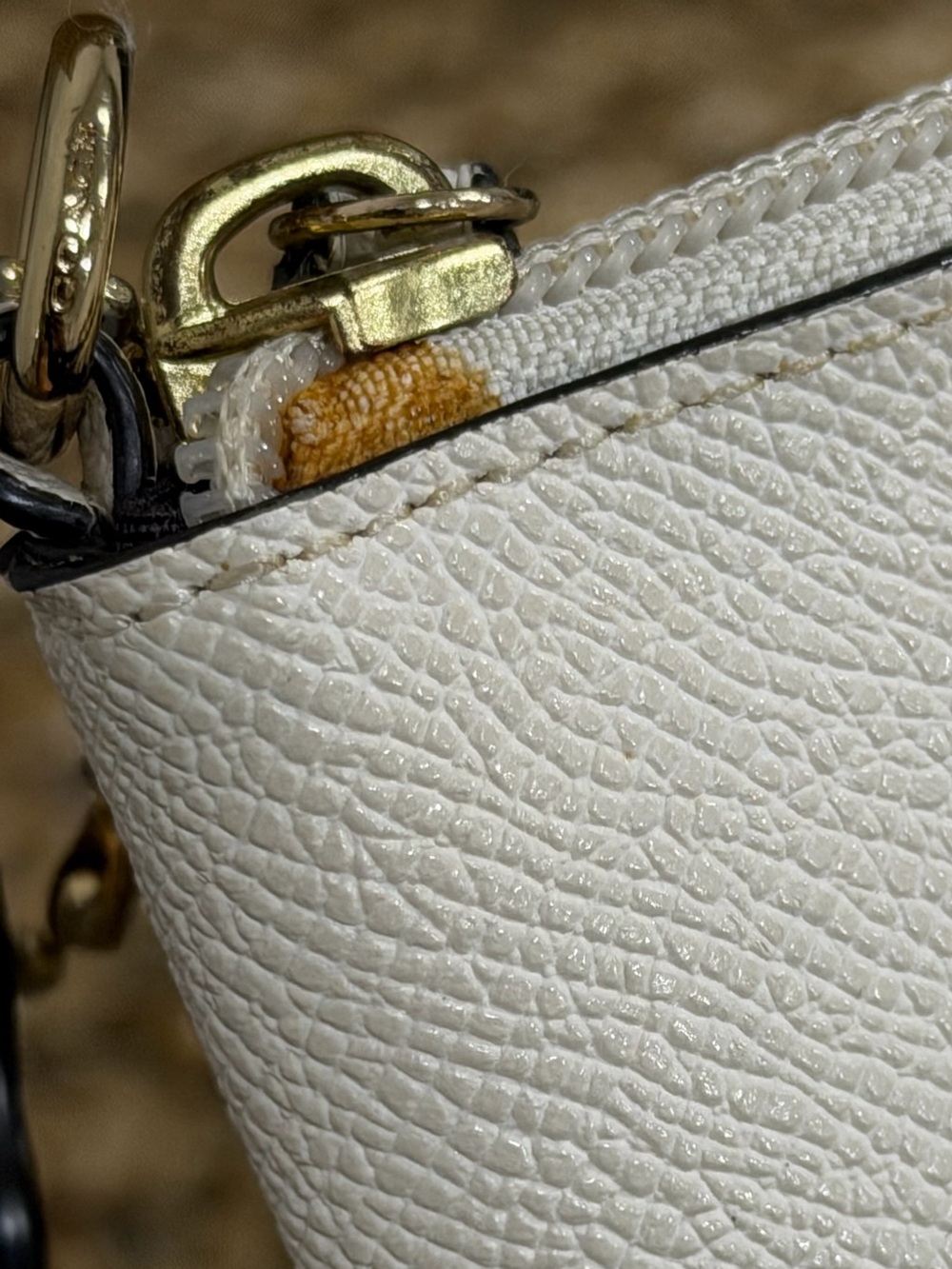 Coach Storypatch Zip Pouch - Picture 5 of 7